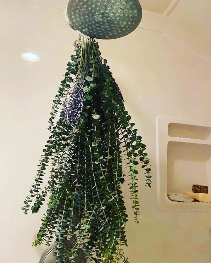 Botanical Shower Bundles, Sage &amp; Incense