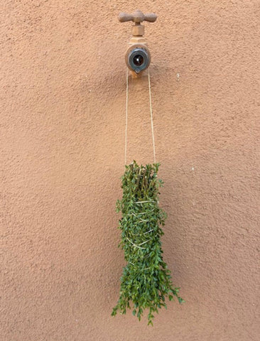 Chaparral Creosote Shower Bundle